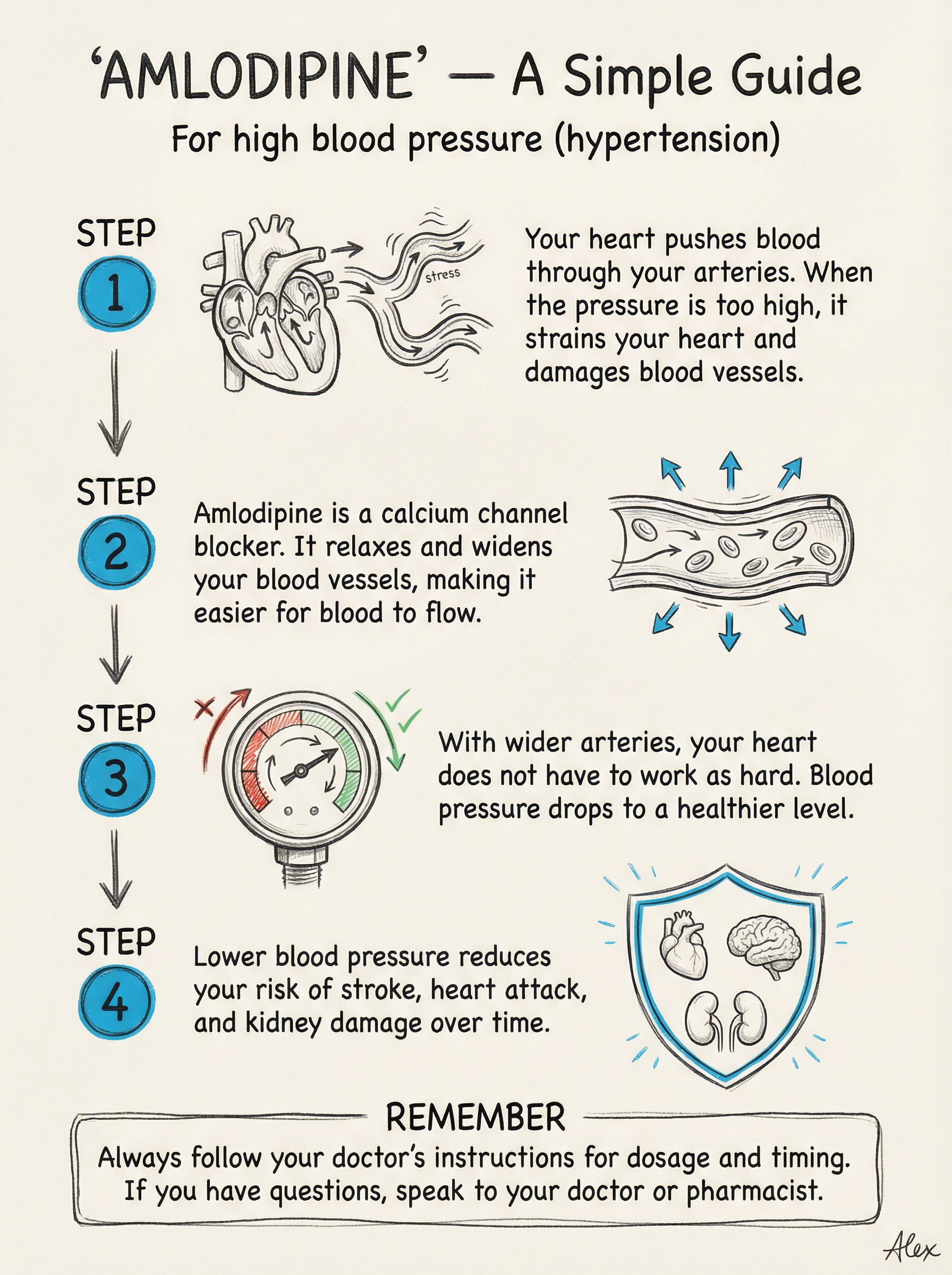 Amlodipine infographic — calcium channel blocker for high blood pressure